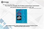 Gabriela Rodríguez Manzo - The endocrine disruptor DE-79 alters oxytocinergic transmission and sexual behavior expression in male rats