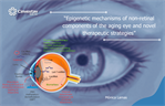 Monica Lamas - Epigenetic mechanisms of non-retinal components of the aging eye and novel therapeutic strategies