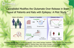 Luisa Rocha- Cannabidiol Modifies the Glutamate Over-Release in Brain Tissue of Patients and Rats with Epilepsy: A Pilot Study