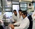 Biomedicina Molecular