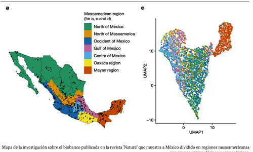 El mapa genético que revela la diversidad de los mexicanos y los...