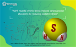 David Centurión- NaHS reverts chronic stress-induced cardiovascular alterations by reducing oxidative stress