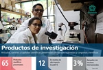 Indicadores - Producutos de investigación