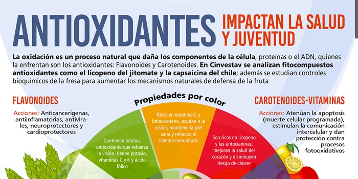 Antioxidantes, impactan en la salud y juventud