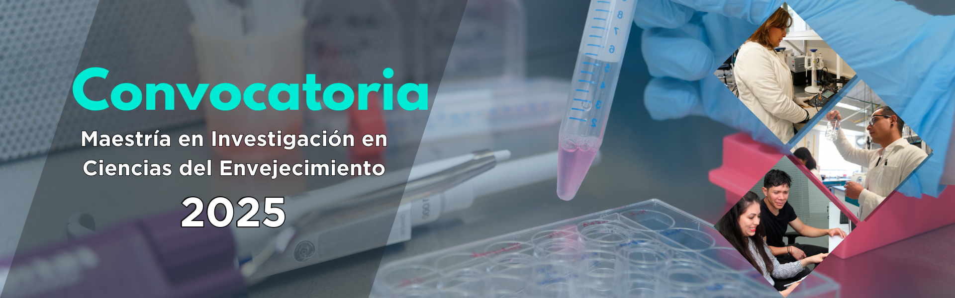 Maestría CIE