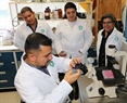 Toxicología