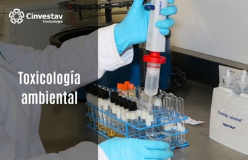 TOXICOLOGÍA AMBIENTAL