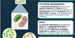 Genomas organelares de Arabidopsis