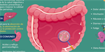 La salud digestiva