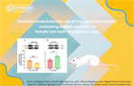 Alonso Guasti- Estradiol modulates the role of the spinal α6-subunit containing GABAA receptors in female rats with neuropathic pain