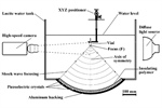 Underwater Shock Wave-Enhanced Cavitation to Induce Morphological Changes and Cell Permeabilization in Microscopic Fungi