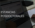 Estancias Posdoctorales