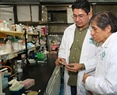Infectómica y Patogénesis Molecular