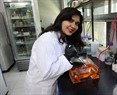 Genética y Biología Molecular