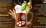 La ciencia detrás de la cerveza