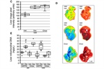 The DNA methyltransferase inhibitor decitabine blunts the response to a high-animal fat and protein diet in mice