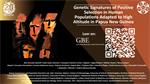 Genetic Signatures of Positive Selection in Human Populations Adapted to High Altitude in Papua New Guinea