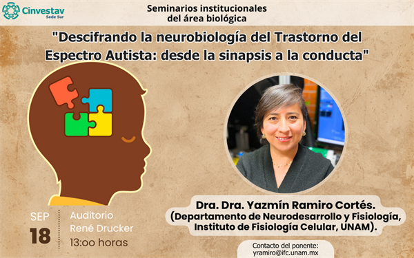 Descifrando la neurobiología del Trastorno del Espectro Autista: desde la sinapsis a la conducta