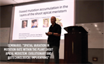 Seminario: "Spatial variation in mutation rate within the plant shoot apical meristem: evolutionary and biotechnological implications"
