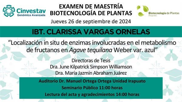 Examen de maestría de IBT. Clarissa Vargas Ornelas