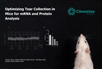 Monica Lamas - Optimizing Tear Collection in Mice for mRNA and Protein Analysis
