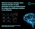 Emilio Javier Galván Espinosa - Maternal immune activation alters temporal precision of spike generation of CA1 pyramidal neurons by unbalancing GABAergic inhibition in the Offspring
