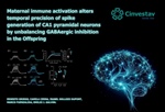 Emilio Javier Galván Espinosa - Maternal immune activation alters temporal precision of spike generation of CA1 pyramidal neurons by unbalancing GABAergic inhibition in the Offspring