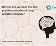 Luisa Lilia Rocha Arrieta - How far are we from the best preclinical models of drug-resistant epilepsy?
