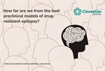 Luisa Lilia Rocha Arrieta - How far are we from the best preclinical models of drug-resistant epilepsy?