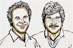El Premio Nobel de Medicina 2024: Los microARNs, interruptores maestros de la expresión génica y...