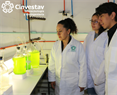 Biotecnología y Bioingeniería
