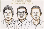El Nobel de Química 2024: Una revolución en la predicción de la estructura de proteínas