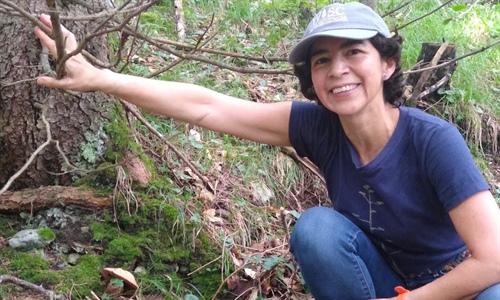 Entrevista a Dra. Laila Pamela Partida Martínez