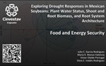 Exploring Drought Responses in Mexican Soybeans: Plant Water Status, Shoot and Root Biomass, and Root System Architecture