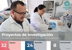 Indicadores-merida-proyectos