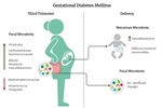 A Pilot Study on the Fecal Microbiota in Mexican Women with Gestational Diabetes Mellitus and Their Newborns