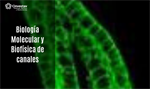 Biología Molecular y Biofísica de canales