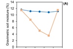 Exploring Drought Responses in Mexican Soybeans: Plant Water Status, Shoot and Root Biomass, and Root System Architecture