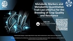 Metabolic Markers and Metabolite Quantitative Trait Loci (mQTLs) for the Breeding of Crop Quality and Resistance