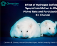 David Centurión Pacheco - Effect of Hydrogen Sulfide on Sympathoinhibition in Obese Pithed Rats and Participation of K+ Channel