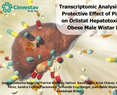 Guadalupe Bravo - Transcriptomic Analysis of the Protective Effect of Piperine on Orlistat Hepatotoxicity in Obese Male Wistar Rats