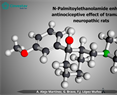 Francisco Javier López Muñoz - N-Palmitoylethanolamide enhances antinociceptive effect of tramadol in neuropathic rats