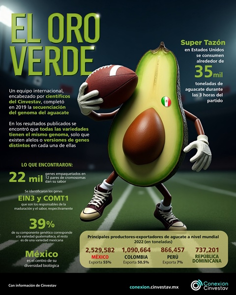 El oro verde