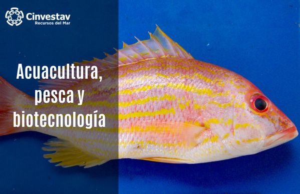 Acuacultura, pesca y biotecnología