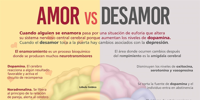 Amor vs desamor