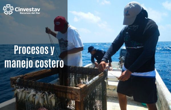 Procesos y manejo costero