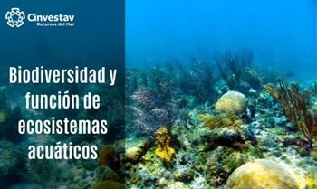Biodiversidad y función de ecosistemas acuáticos