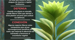 Aromas invisibles
