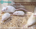 José Alonso Fernández Guasti - Multiparity Favors Same-sex Partner Preference in Male Rats
