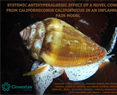 Vinicio Granados Soto - Systemic Antihyperalgesic Effect of a Novel Conotoxin from Californiconus californicus in an Inflammatory Pain Model
